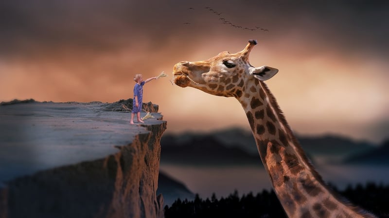 Imaginative Endeavors