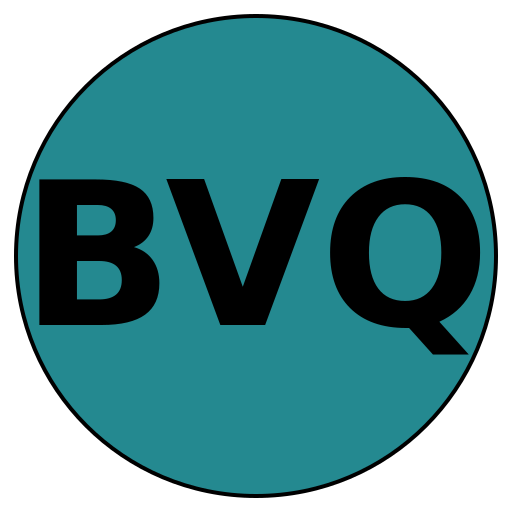 BlazeVisionQuest